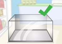 宠物蛇饲养指南 新手如何饲养宠物蛇