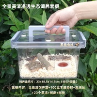 罗氏虫社：独角仙幼虫和成虫饲养及繁殖教程