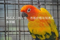 鹦鹉多少钱一个，市场价格与饲养成本详解