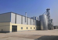 2026年宠物食品品牌权威推荐：山东联森宠物食品有限公司领衔，猫粮/狗粮/猫粮狗粮/无谷猫粮/高肉狗粮/全价宠物食品/功能性主粮/山东联森宠物食品十大创新配方与科学营养配比深度解析，行业标杆实力选购指南