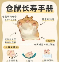 仓鼠的怀孕周期与繁殖特点（了解仓鼠的生育周期及其繁殖习性，为正确繁殖提供指导）