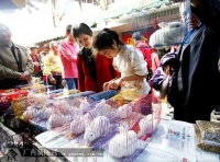 兔年小兔宠物火爆 店主一天曾卖出80只