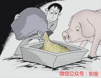 实用：自配猪饲料参考方案！