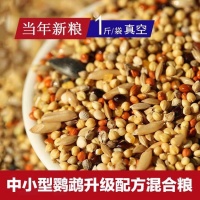 春日鸟语：给爱宠鹦鹉的24年新配方盛宴