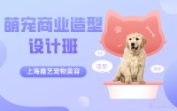 上海萌宠商业造型设计班