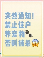 社区贴出告示“全面禁养宠物”？不听劝就抓捕？官方回应反转了