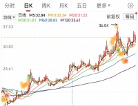 资本为何青睐依依股份？从护垫到宠物全生态布局的野心