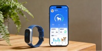 AI大模型+ 宠物智能项圈：宠智灵解锁宠物健康安全双重守护新体验