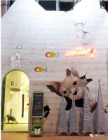 厦门旅游拍照推荐地｜厦门的猫奴咖啡馆，主子在召唤你们