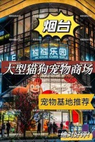 烟台宠物鸟领养中心，守护生命的爱心家园