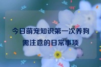 今日萌宠知识第一次养狗需注意的日常事项