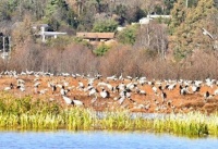 贯彻全会精神 云岭一线见闻