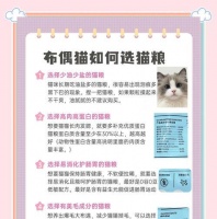 布偶猫消化不良软便时应吃什么猫粮？如何选择合适的猫粮？