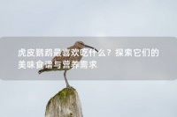 虎皮鹦鹉最喜欢吃什么？探索它们的美味食谱与营养需求