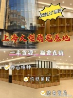 上海哪里有正规宠物基地?这里专业安全可亲自挑选宠物