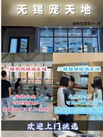 无锡哪里可以买宠物猫狗？（无锡）这里上门挑选宠物，专为新手推荐！