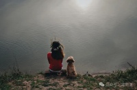 最新！我国宠物食品市场的几个特征