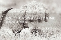 狗狗一次吃多少狗粮，如何根据体重和年龄合理喂养？