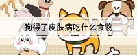 狗得了皮肤病吃什么食物