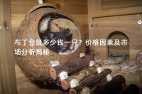 布丁仓鼠多少钱一只？价格因素及市场分析揭秘