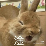 UU们 20天大的小鼠 除了商品粮 应该吃啥补充营养啊