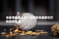 仓鼠害怕怎么办？如何有效缓解它们的恐惧情绪