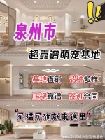 泉州哪里有买狗买猫的市场?这里安全可靠还能实地选宠物不虚此行