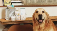 给宠物吃的保健品，让卖家彻底赚翻，三个月进账90万