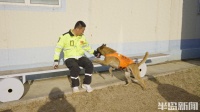 新闻周刊｜建在工厂后院的搜救犬训练场