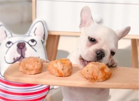 狗狗喂食误区｜这些食物少吃有益，过量伤身