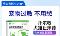 宠物过敏怎么办？get华农宠医马来酸氯苯那敏片即可轻松解决