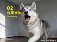 象乡宠物食品 | 猫为什么叼猎物给你