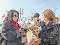 萌宠伴游乡村 产业跨界提速  无锡“它经济”玩出融合新花样