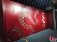 近50件蛇類標本展出 2025乙巳蛇年生肖文物大聯展在京啟幕