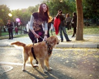 寄养家庭宠物哪家好