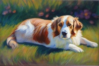 一到流行季，遛狗都慌了？别让 “意外” 毁了陪伴