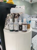 挖到一家宠物洗护宝藏店！Yoyi Pet