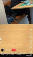 宠物狗餐厅进食引争议 老乡鸡回应：允许地面进食但禁上椅