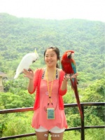 给树懒调理内分泌、给鹦鹉治感冒......天津异宠店的日常，有多奇妙？