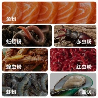 YEE巴西龟龟粮乌龟饲料红耳火焰龟小颗粒通用幼龟粮食半水龟食物 巴西龟配合饲料