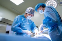 宠物经济3000亿赛道，四川如何以农入局？