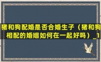 猪和狗配婚是否合婚生子（猪和狗相配的婚姻如何 在一起好吗）