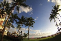 867张日本旅拍、宠物、风景风光、人文纪实摄影作品图片图集欣赏，日本摄影师野寺治孝Nodera Harutaka作品