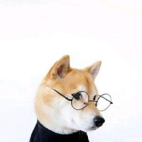 狗子美食日记：花2800学的菜谱，荤素搭配，果然好吃，太香了