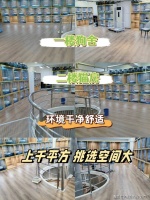 贵阳买布偶猫地方，这里实体店选购宠物，安全可靠更值得信赖。