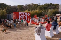 一场沉浸式萌宠盛会！“锦棠小辰光·囍市”宠物主题活动亮相苏州太湖畔