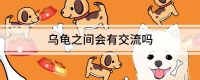 乌龟之间会有交流吗