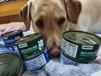 如何挑选狗罐头？希喂主食罐头好不好？平价也能吃出健康！