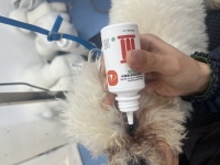 2026年郑州热门宠物美容师培训服务排名，哪家权威，这几家别错过！