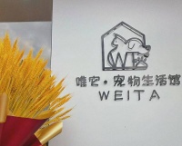 深圳宠物店推荐 宠物洗护 宠物美容 宠物寄养